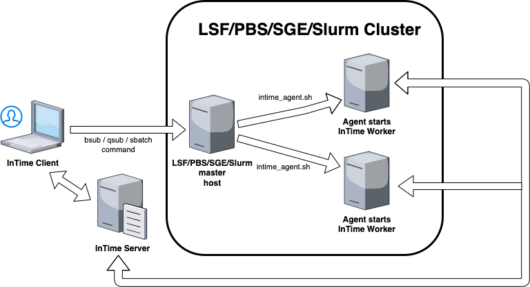 LSF Cluster